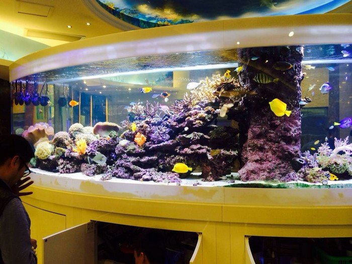 中環金融公司前台弧形辦公室魚缸工程案例