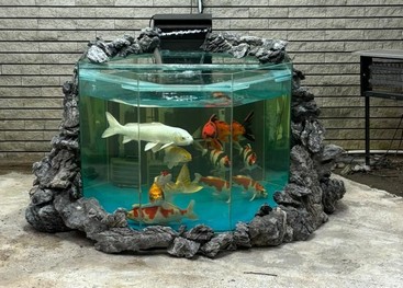 魚池工程 - 佳運水族工程專業錦鯉魚池設計建造