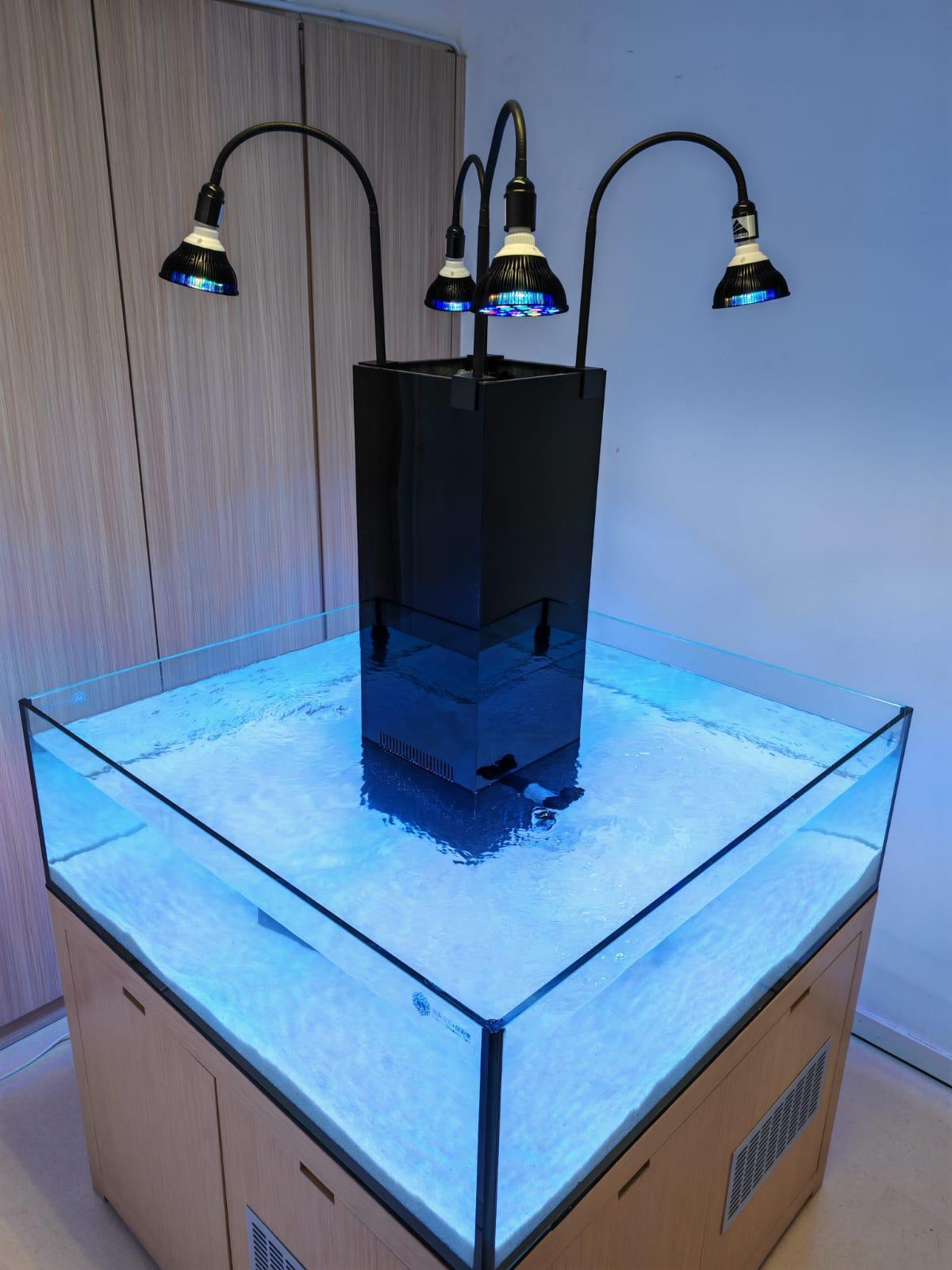 公共水族工程案例 - 學校教育水族展覽缸