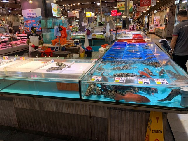 私人街市大型海鮮檔 U 形組合式魚缸工程