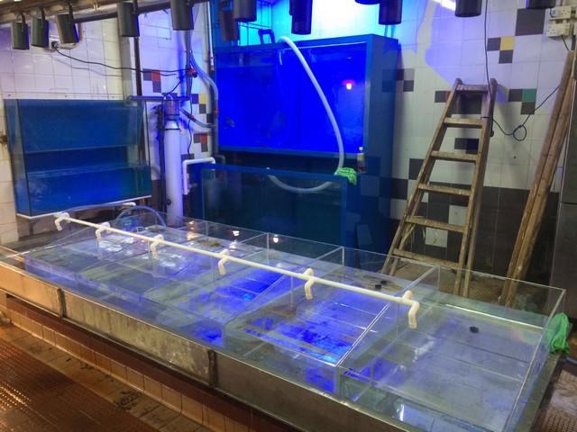 小型街市魚缸 — 2-3 層街市海鮮缸訂造