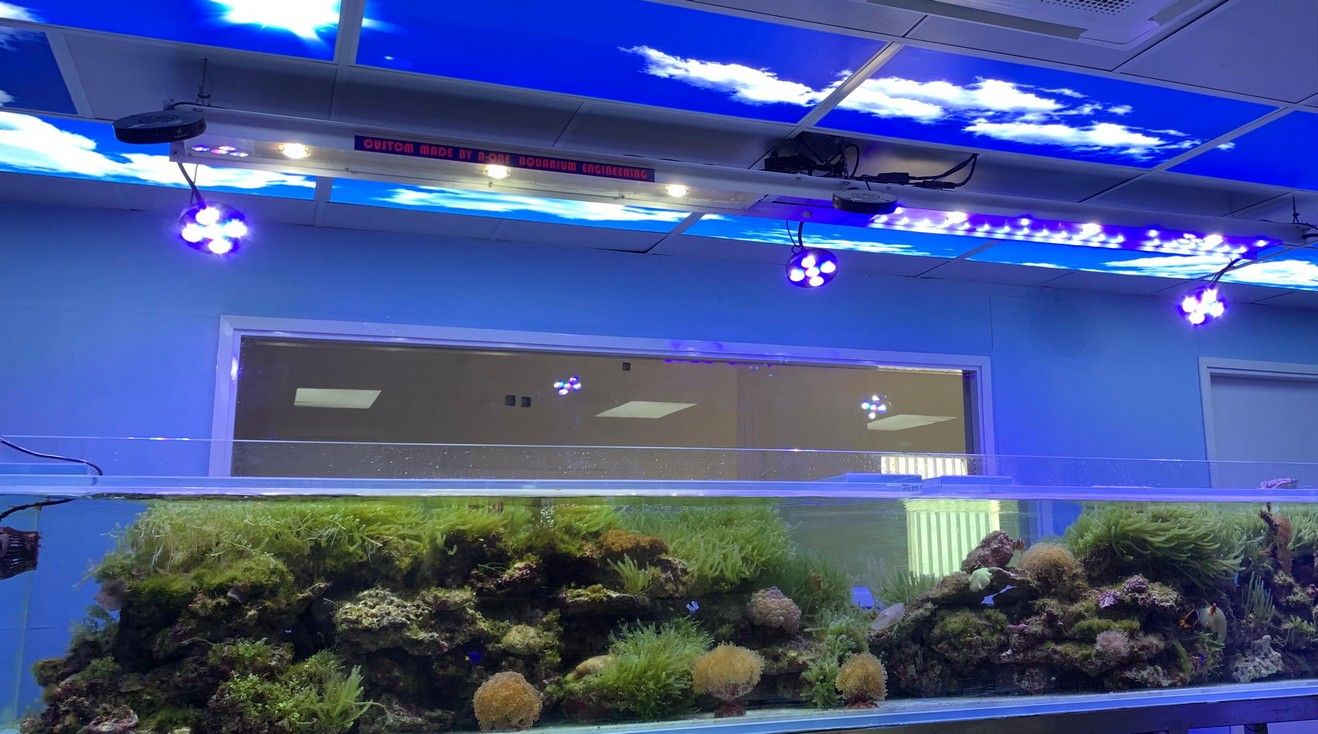 佳運水族工程案例總覽 - 魚缸工程案例展示
