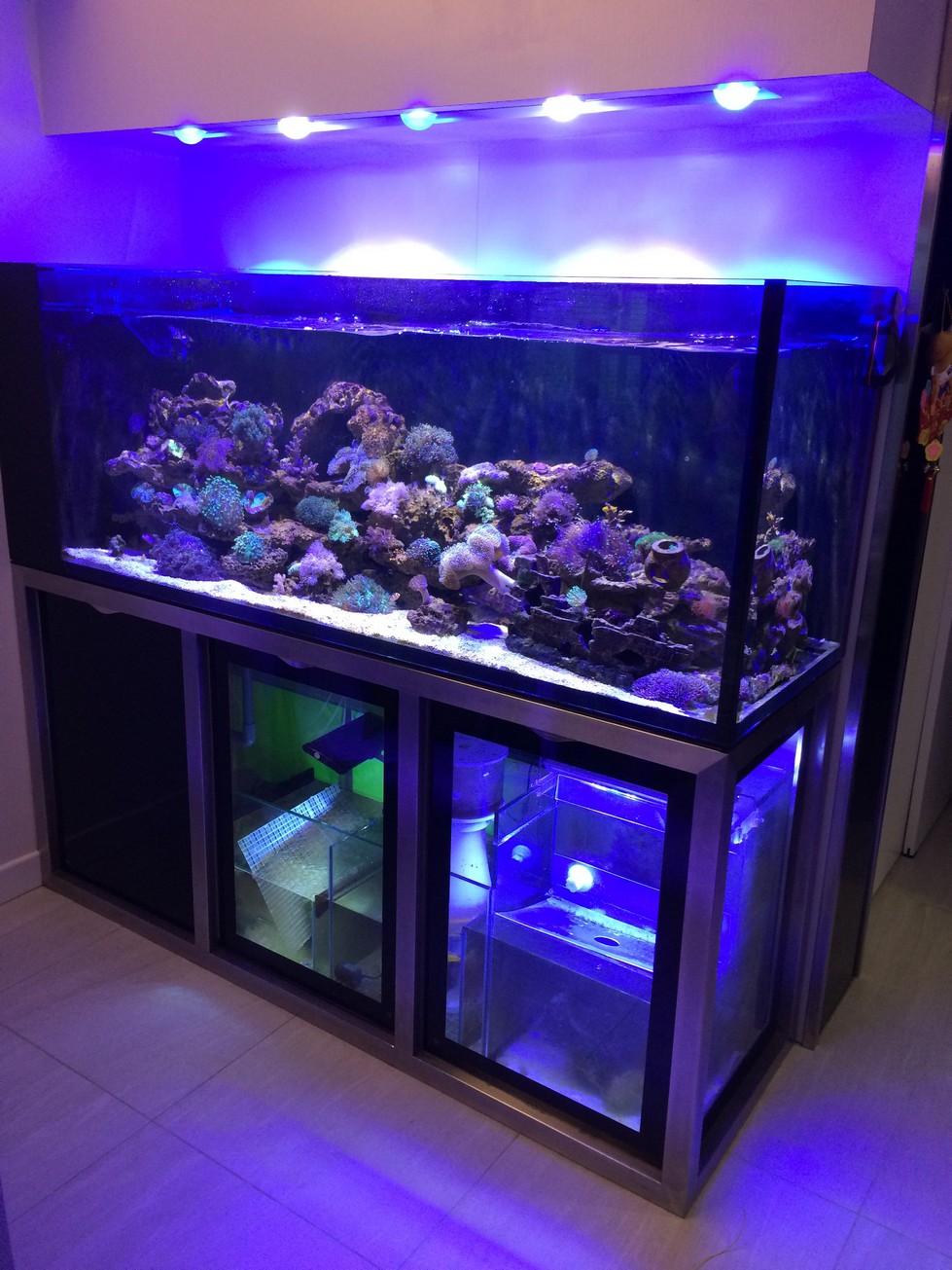 九龍塘獨立屋飯廳水草家居魚缸工程案例