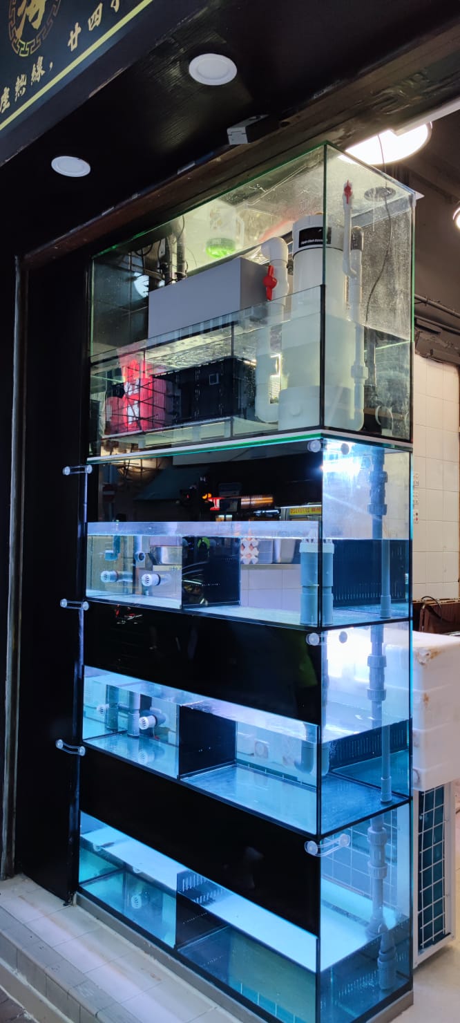 尖沙咀高級中餐廳五層海鮮缸安裝案例 — 深色木飾面外框
