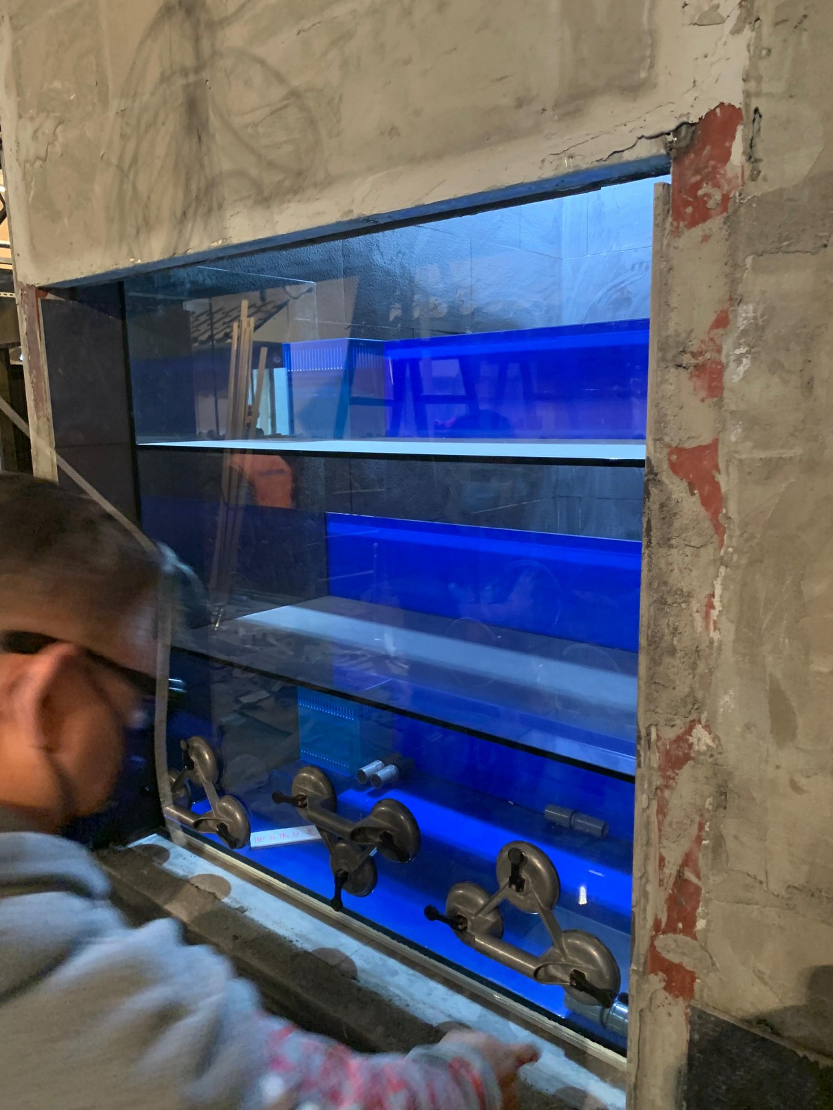 酒樓海鮮缸 — 大型多層海鮮展示缸工程