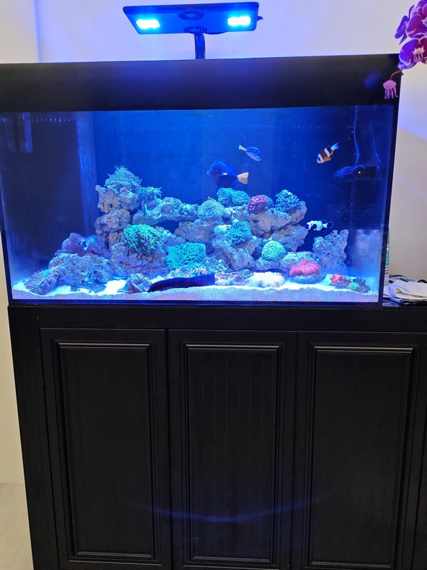 普通玻璃魚缸訂造 - 經濟實用型