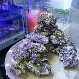 22A06A4C-F4C4-416A-B3F3-A2802EF0533C