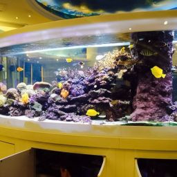 57AA7CF9-FC34-4394-8F7A-28D5283EDB37