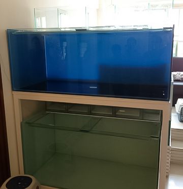 6D5E373F-CD2A-4E6D-8BF5-4D3EAF2B3FF0