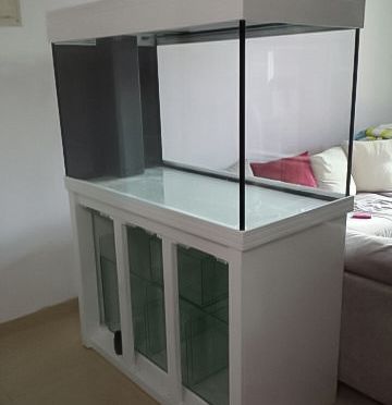 7A9142E5-AE2D-4BC1-99A9-DCD0B8C49AC8