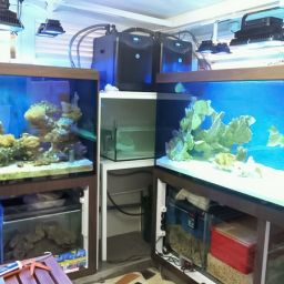 A3F481B5-BD40-484E-A7D2-DFABC10EDE8E