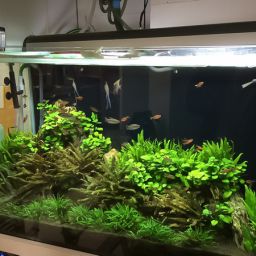 D7F4E5F0-5841-46AA-A717-56A110105BCA